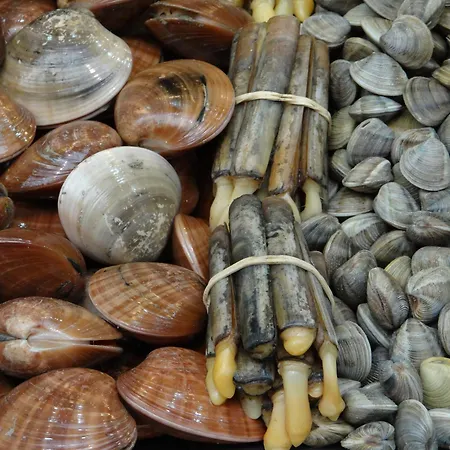 A 100 Metros De La Playa En Fuengirola