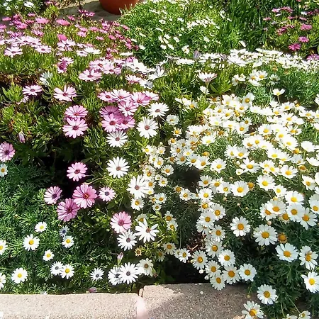 A 100 Metros De La Playa En Fuengirola