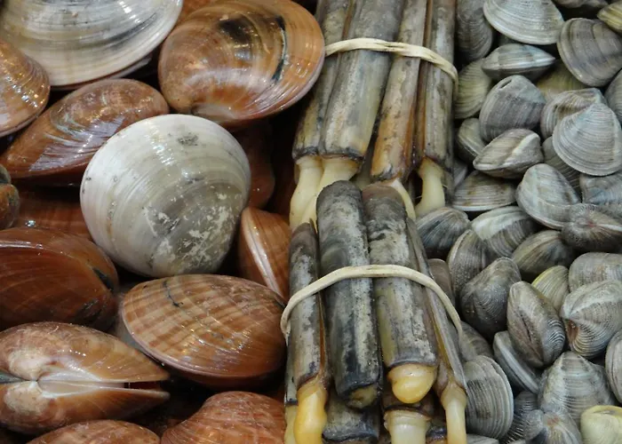 A 100 Metros De La Playa En Fuengirola